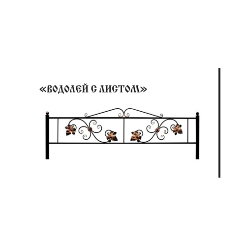 Водолей с листом — природа и звезды